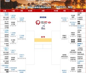 赛地聚焦：欧冠赛前热度飙升，休斯敦火箭遗憾出局，媒体盛赞，年轻球员得到机会的简单介绍-3377登录